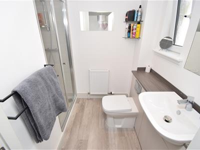 Picture 25